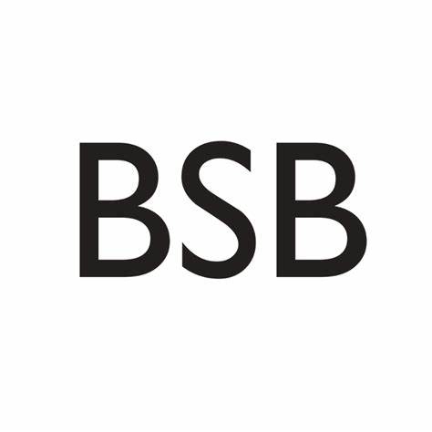 BSB_logo_d4a7b2a56f